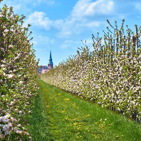 Ferienhaus Ferienhaus Moin Bachenbrock